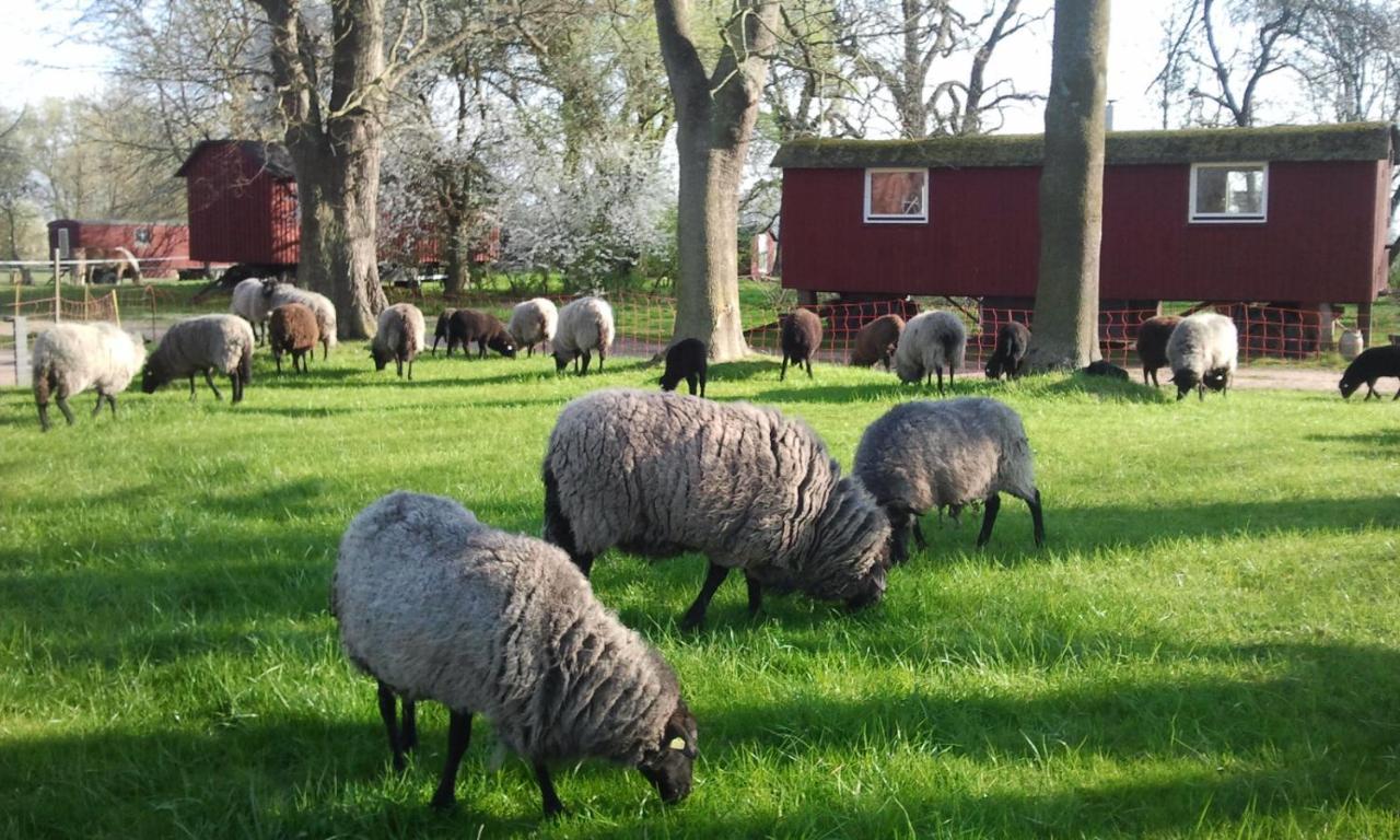 Hotel Schaeferwagen Auf Dem Biogut-Saalkow Gustow  Zewnętrze zdjęcie